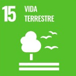 15 - Vida terrestre