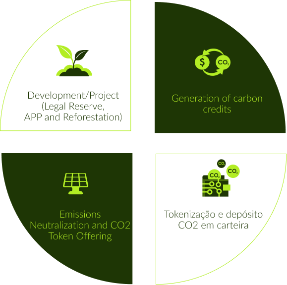 Infographic: Carbon Credit Generation